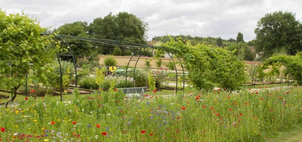 Universitaire de Poitiers Botanical Garden, Mignaloux-Beauvoir, France, France
